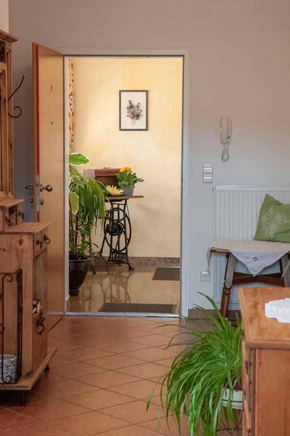 Pension Hiesel-Villa Untersbergblick Anthering ภายนอก รูปภาพ